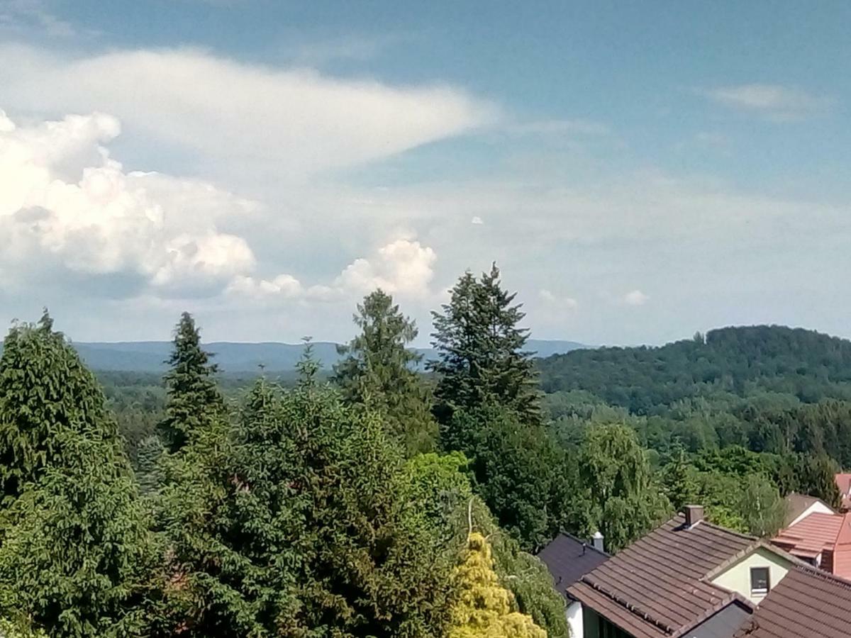 Jagdschloesschen-Harz Apartman Bad Sachsa Kültér fotó