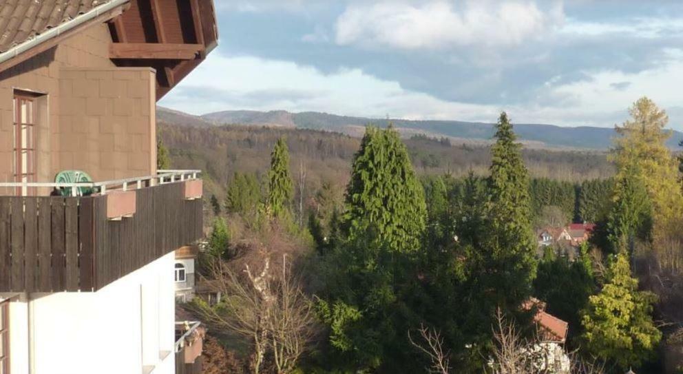 Jagdschloesschen-Harz Apartman Bad Sachsa Kültér fotó