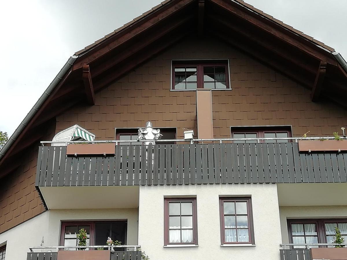 Jagdschloesschen-Harz Apartman Bad Sachsa Kültér fotó